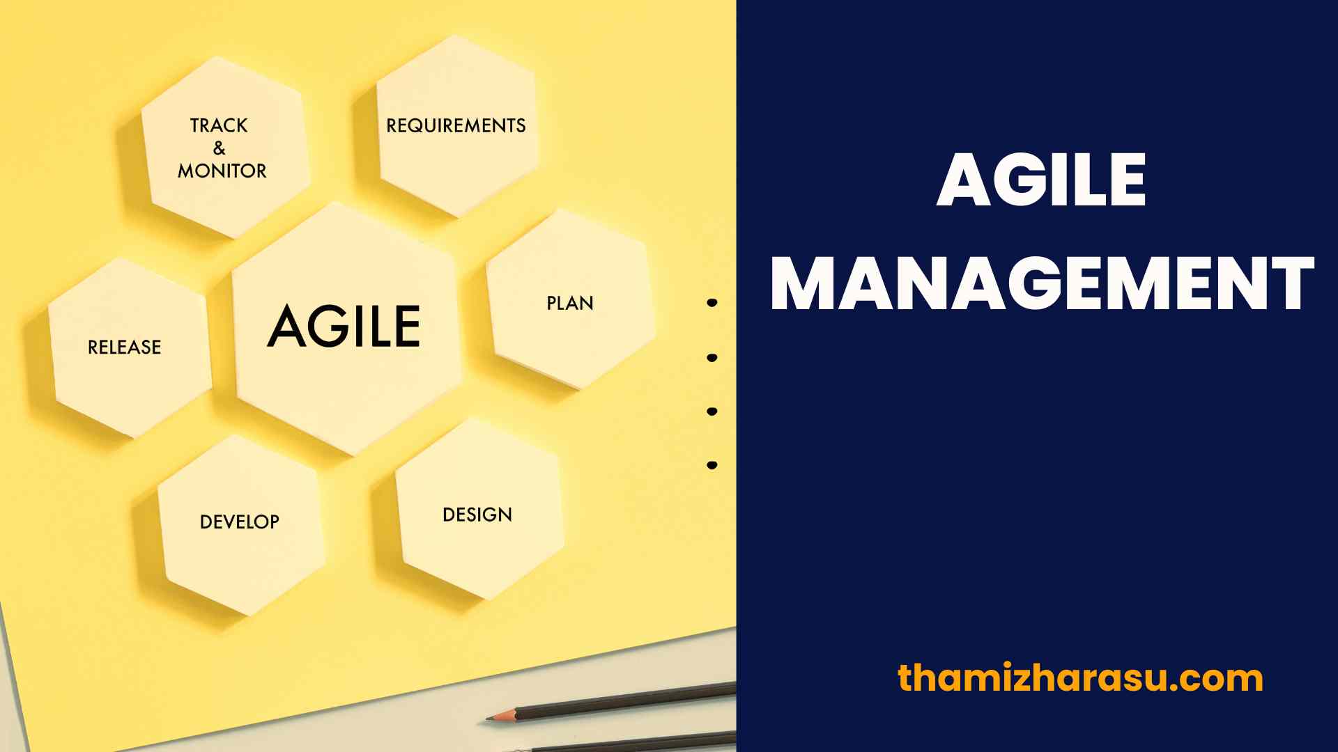 agile management