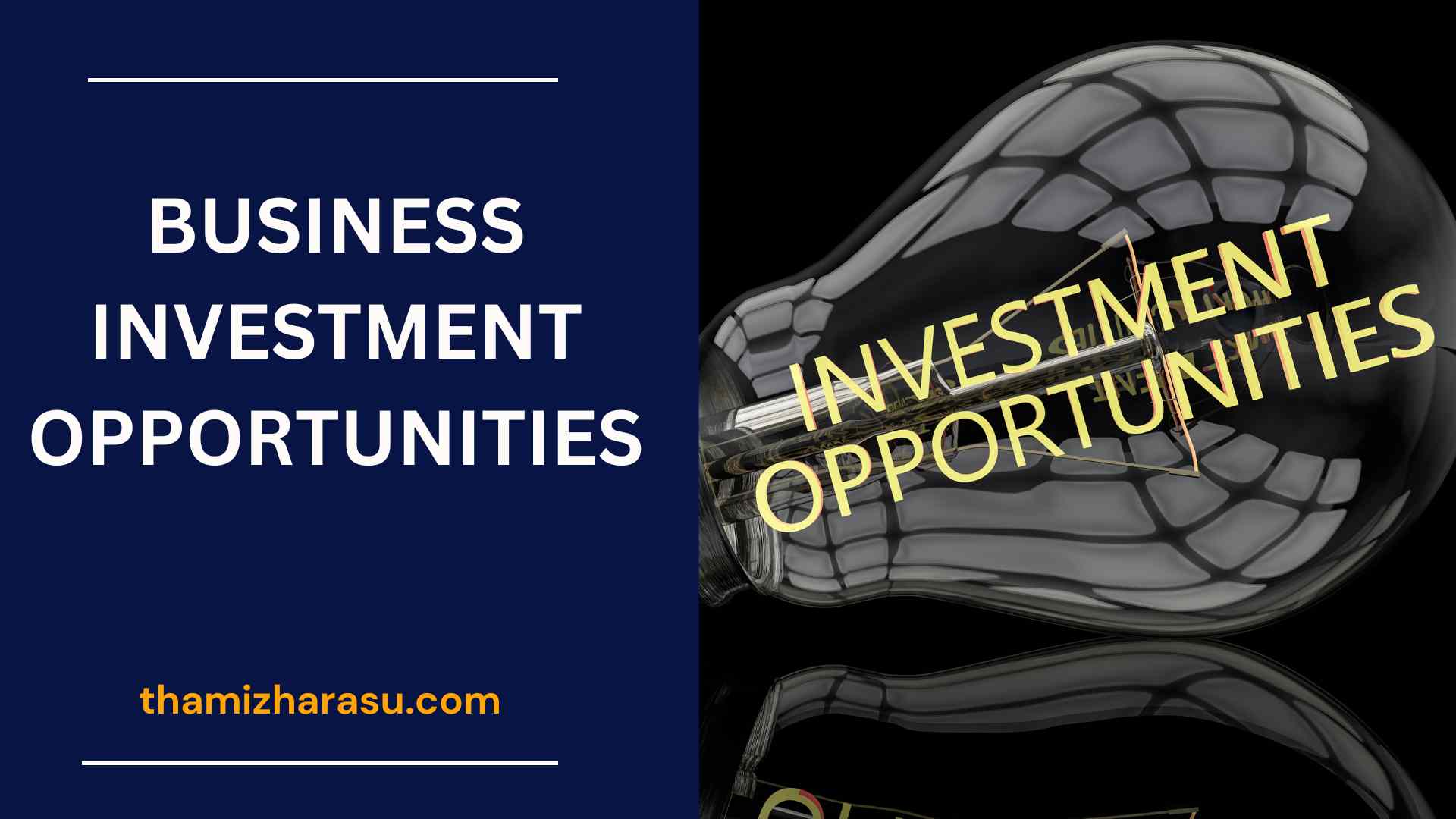 business investment opportunities