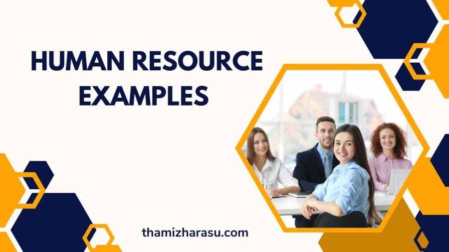 Human Resource Examples An In Depth Look at Best Practices