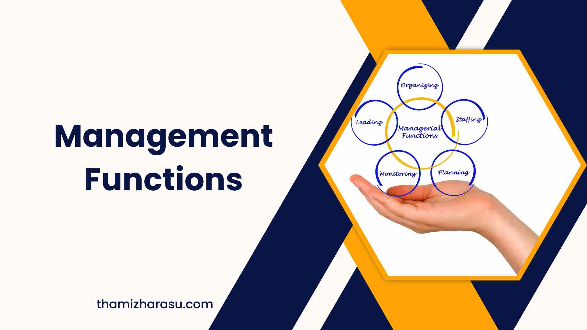 management functions